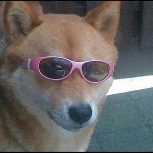 Meet your Posher, Margaret